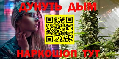 сатива Обнинск