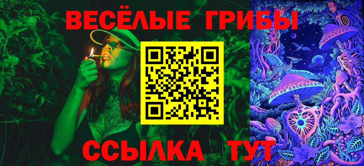 Троицк  Галлюциногенные грибы GOLDEN TEACHER  Вход с VPN 