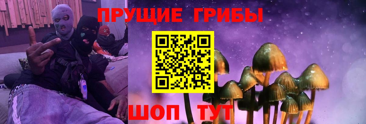 Галлюциногенные грибы MAGIC MUSHROOMS Троицк